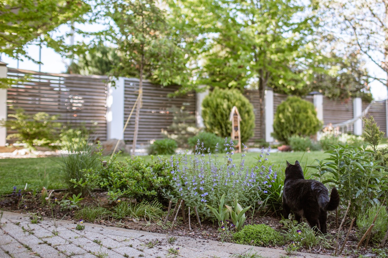 Kleine Gartenlaube gemütlich und modern einrichten